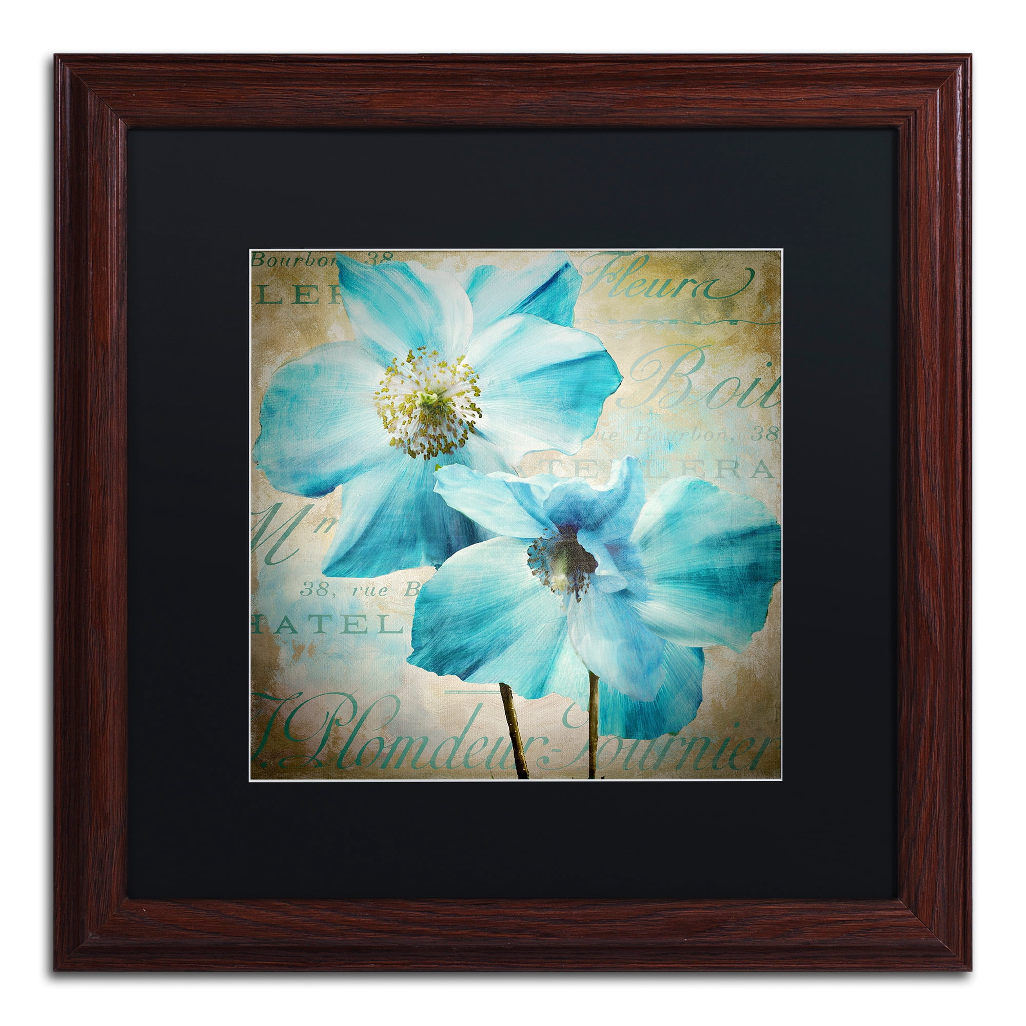 Trademark Fine Art 'Himalayan Blue I' Matted Framed Art by Color Bakery
