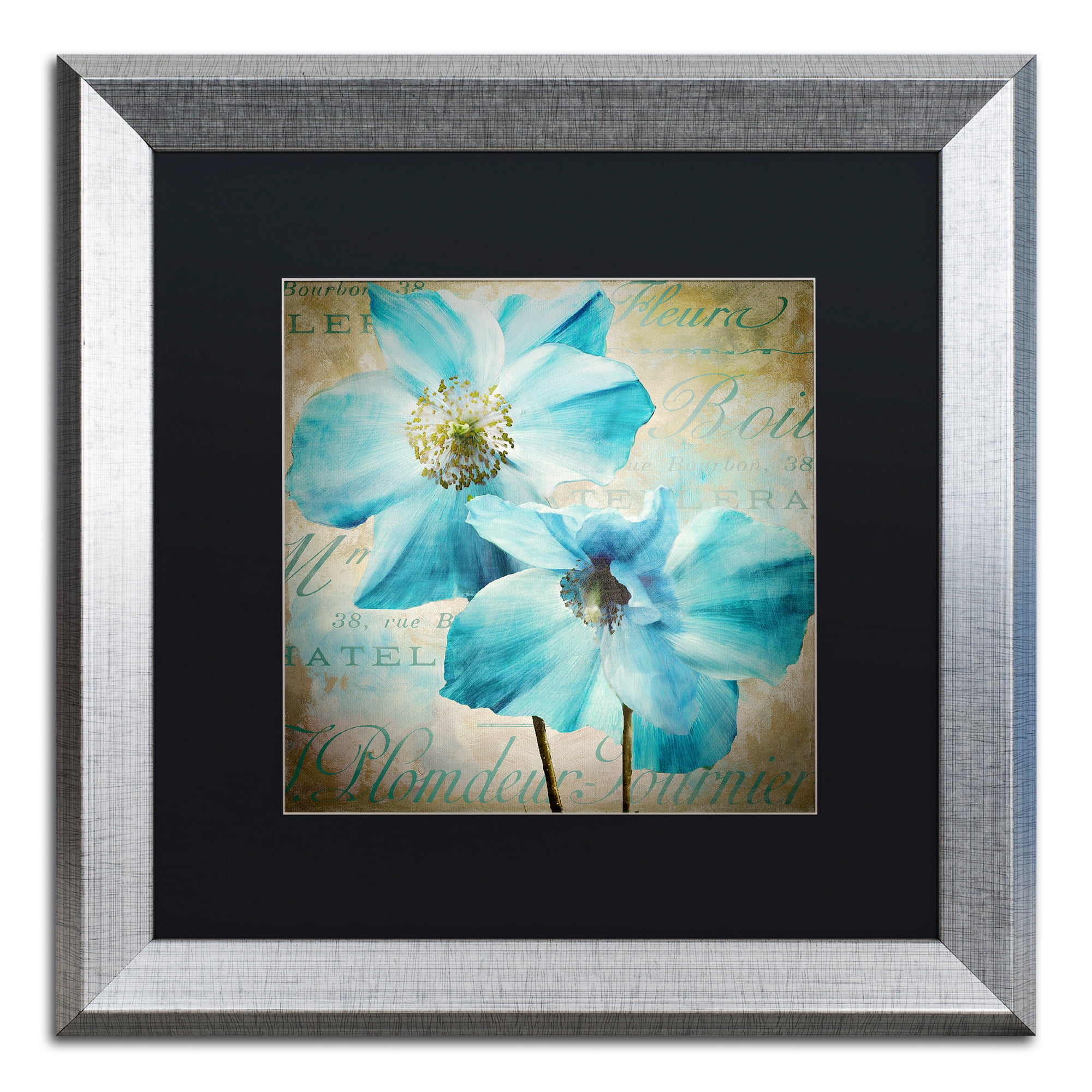 Trademark Fine Art 'Himalayan Blue I' Silver Framed Art by Color Bakery