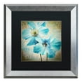 thumbnail image 1 of Trademark Fine Art 'Himalayan Blue I' Silver Framed Art by Color Bakery, 1 of 4