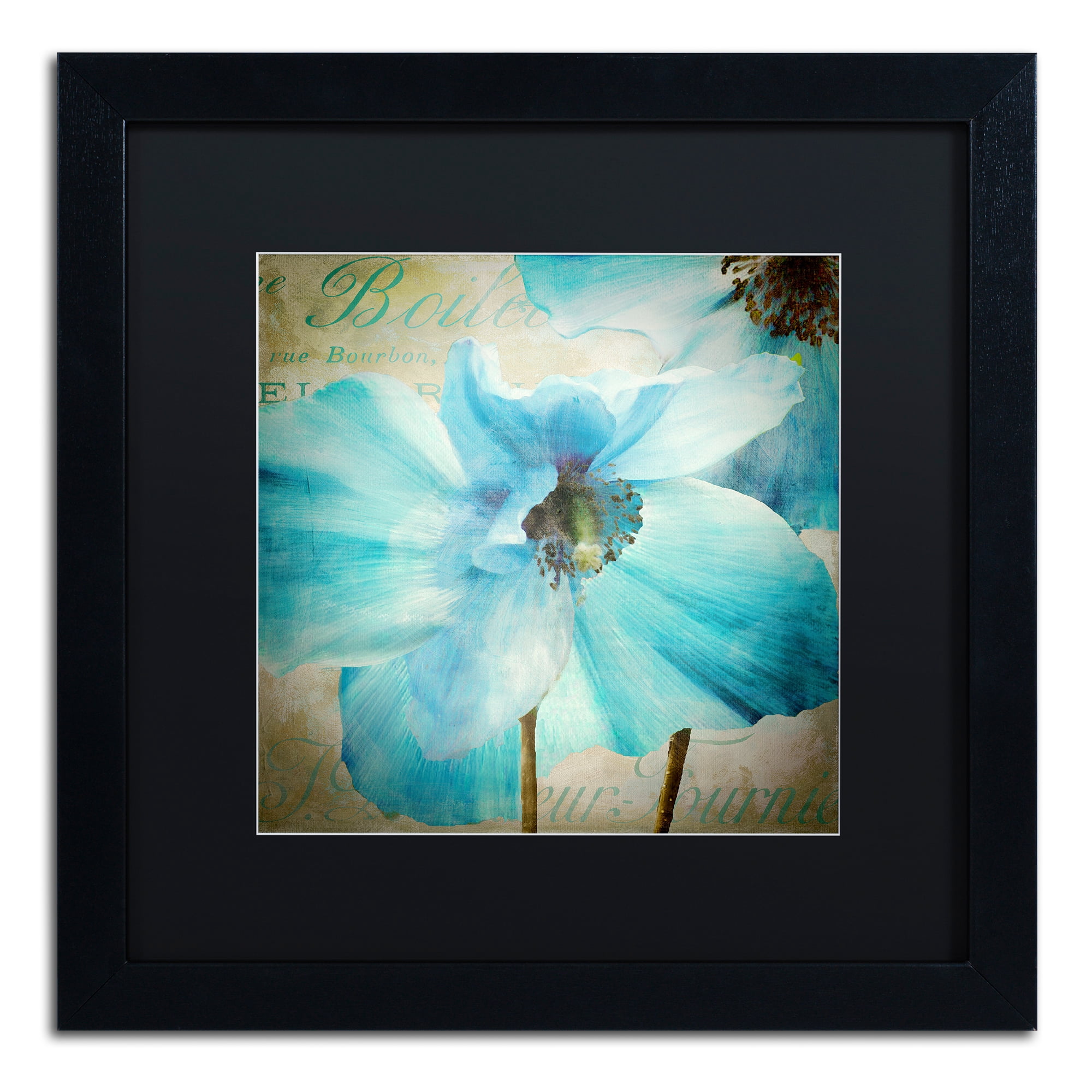 Trademark Fine Art 'Himalayan Blue II' Black Framed Art by Color Bakery