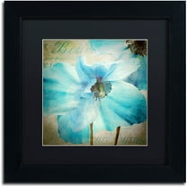 Trademark Fine Art "Himalayan Blue II" Canvas Art by Color Bakery Black Matte, Black Frame