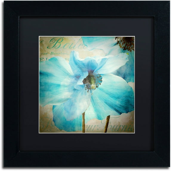 Trademark Fine Art "Himalayan Blue II" Canvas Art by Color Bakery Black Matte, Black Frame