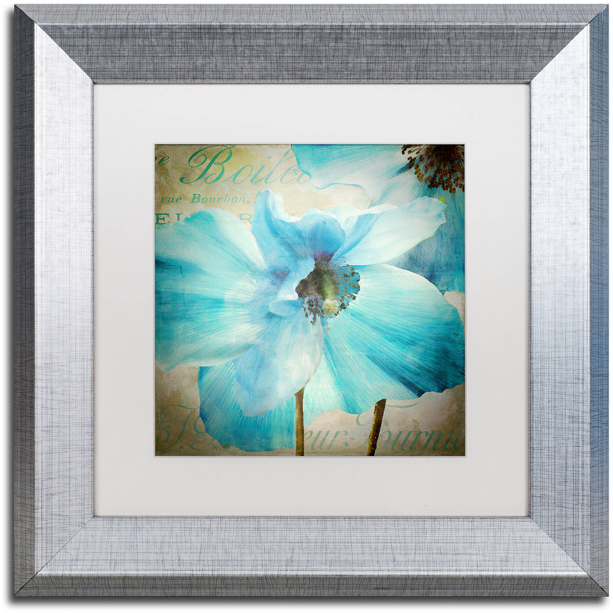Trademark Fine Art "Himalayan Blue II" Canvas Art by Color Bakery White Matte, Silver Frame
