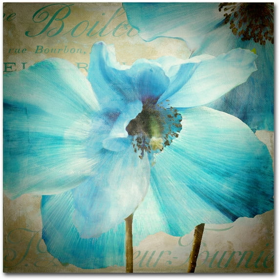 Trademark Fine Art "Himalayan Blue II" Canvas Art by Color Bakery