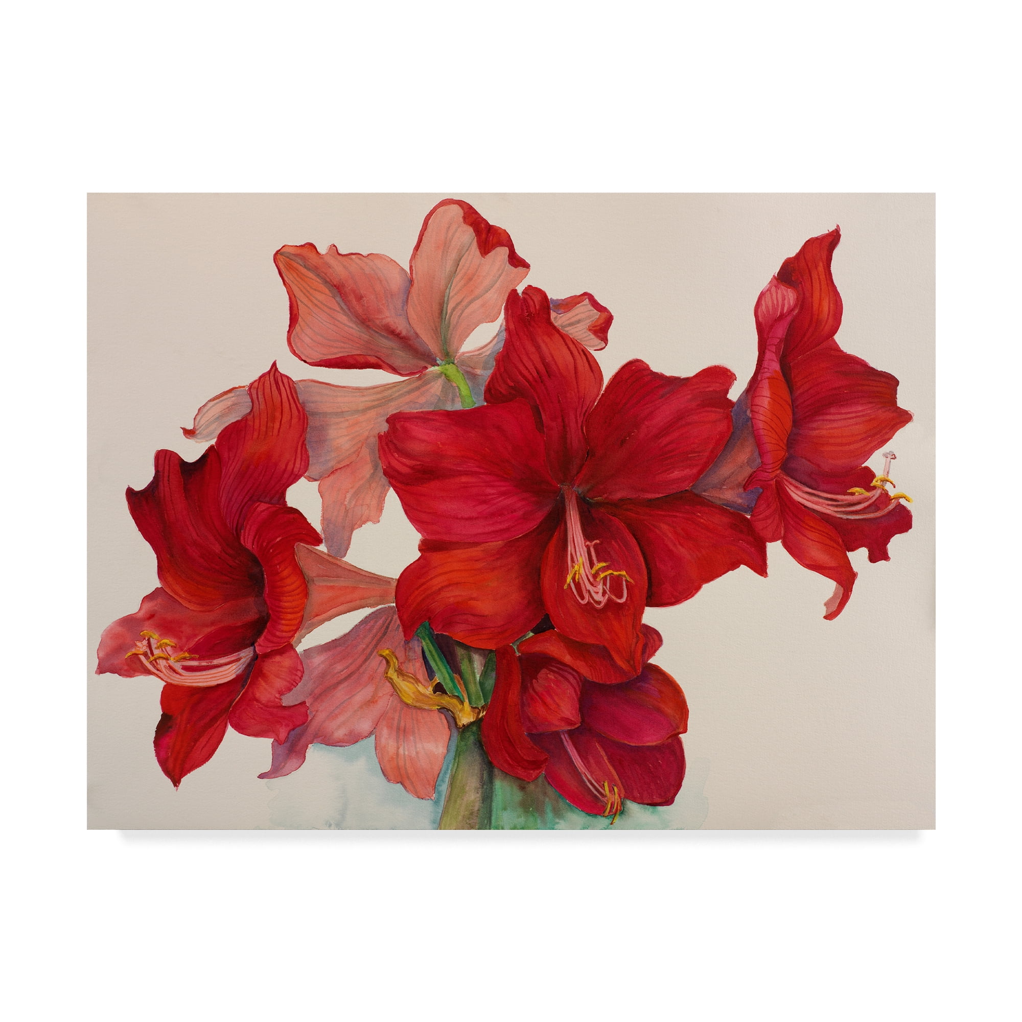 Trademark Fine Art 'Holiday Amaryllis' Canvas Art by Joanne Porter