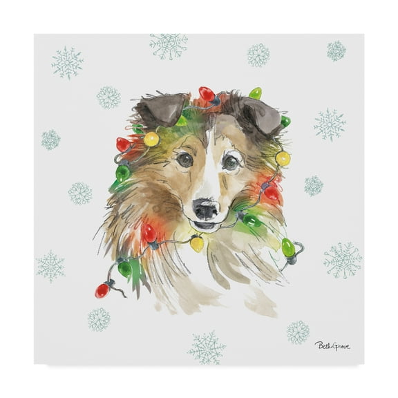 Trademark Fine Art 'Holiday Paws IX' Canvas Art by Beth Grove