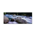 thumbnail image 1 of Trademark Fine Art "Hollyford River-NZ" Canvas Art by David Evans, 1 of 3