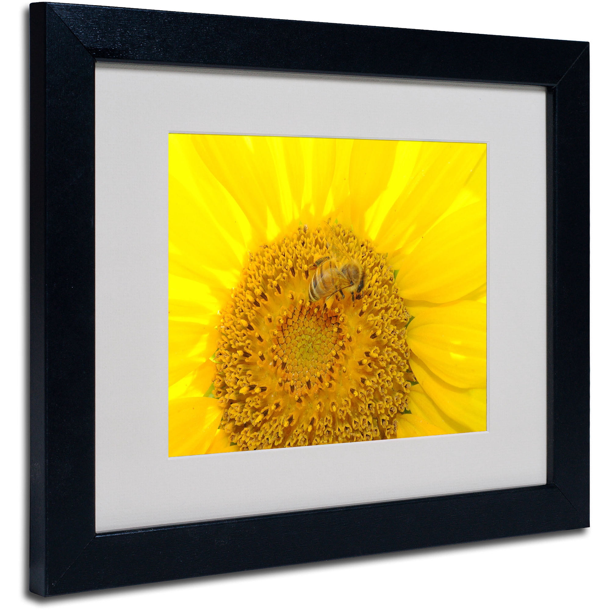 Trademark Fine Art "Honey-Maker" by Monica Fleet, Black Frame