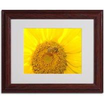 Trademark Fine Art "Honey-Maker" by Monica Fleet, Wood Frame