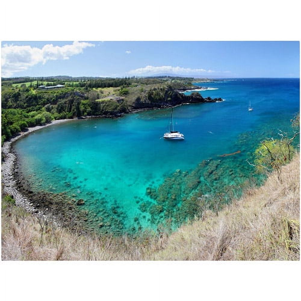 Honolua Bay Coastal Canvas Print in Blue and Green
