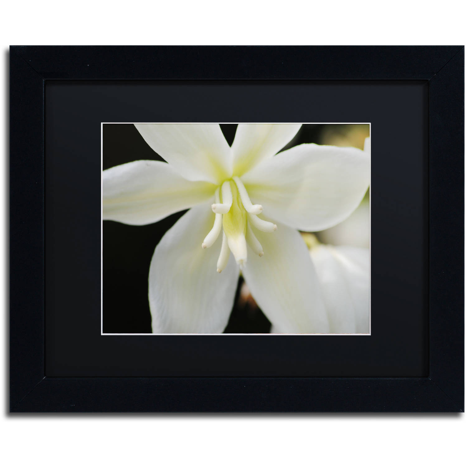 Trademark Fine Art "Hope" Canvas Art by Monica Mize, Black Matte, Black Frame