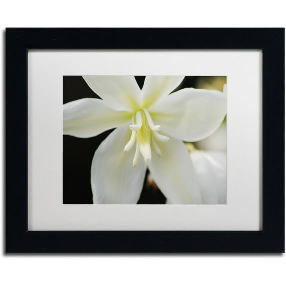 Trademark Fine Art "Hope" Canvas Art by Monica Mize, White Matte, Black Frame
