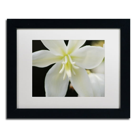 Trademark Fine Art "Hope" Canvas Art by Monica Mize, White Matte, Black Frame