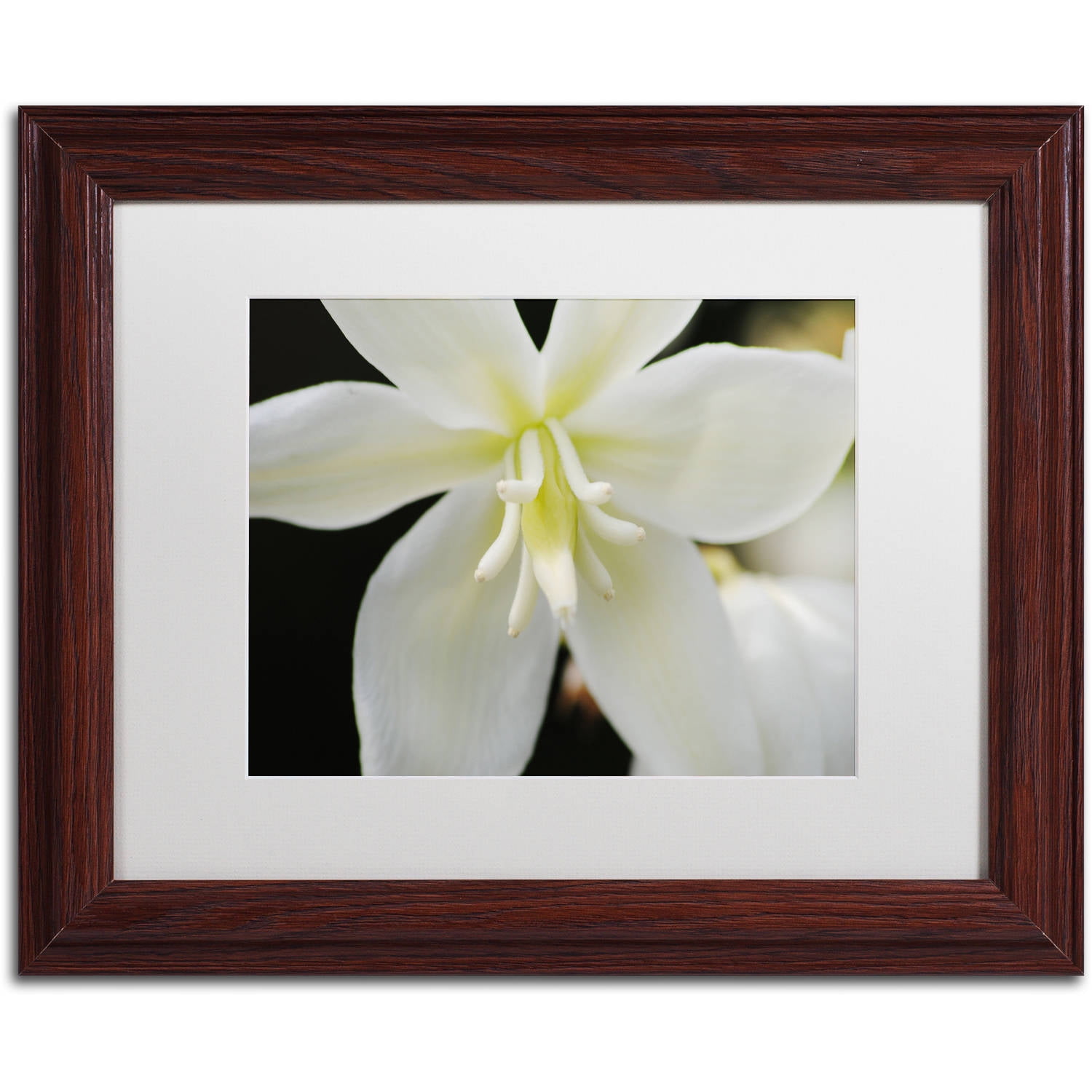 Trademark Fine Art "Hope" Canvas Art by Monica Mize, White Matte, Wood Frame