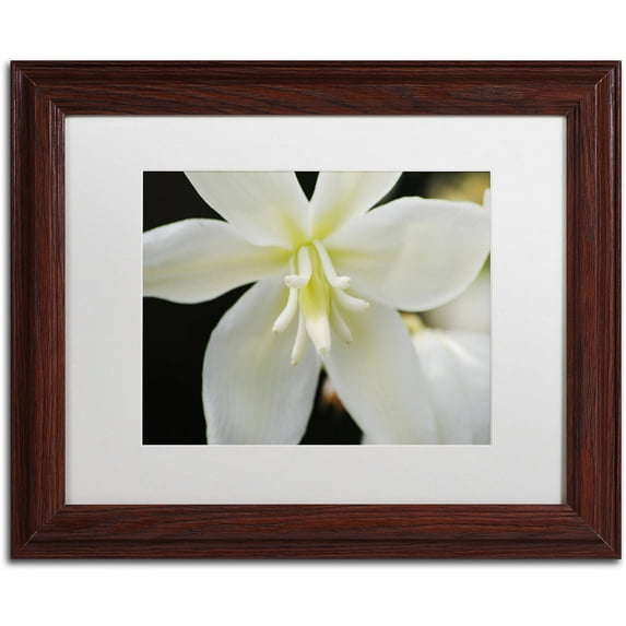 Trademark Fine Art "Hope" Canvas Art by Monica Mize, White Matte, Wood Frame