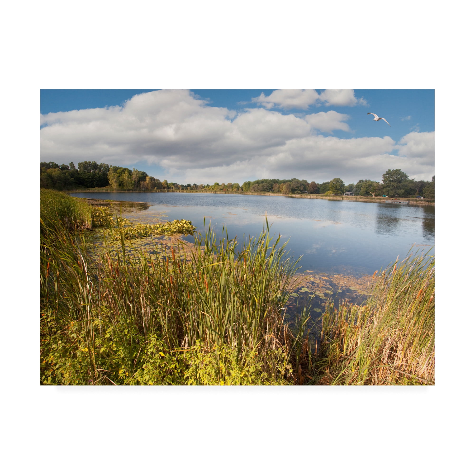 Trademark Fine Art 'Hopkins Lake Owosso Mi' Canvas Art by Monte Nagler