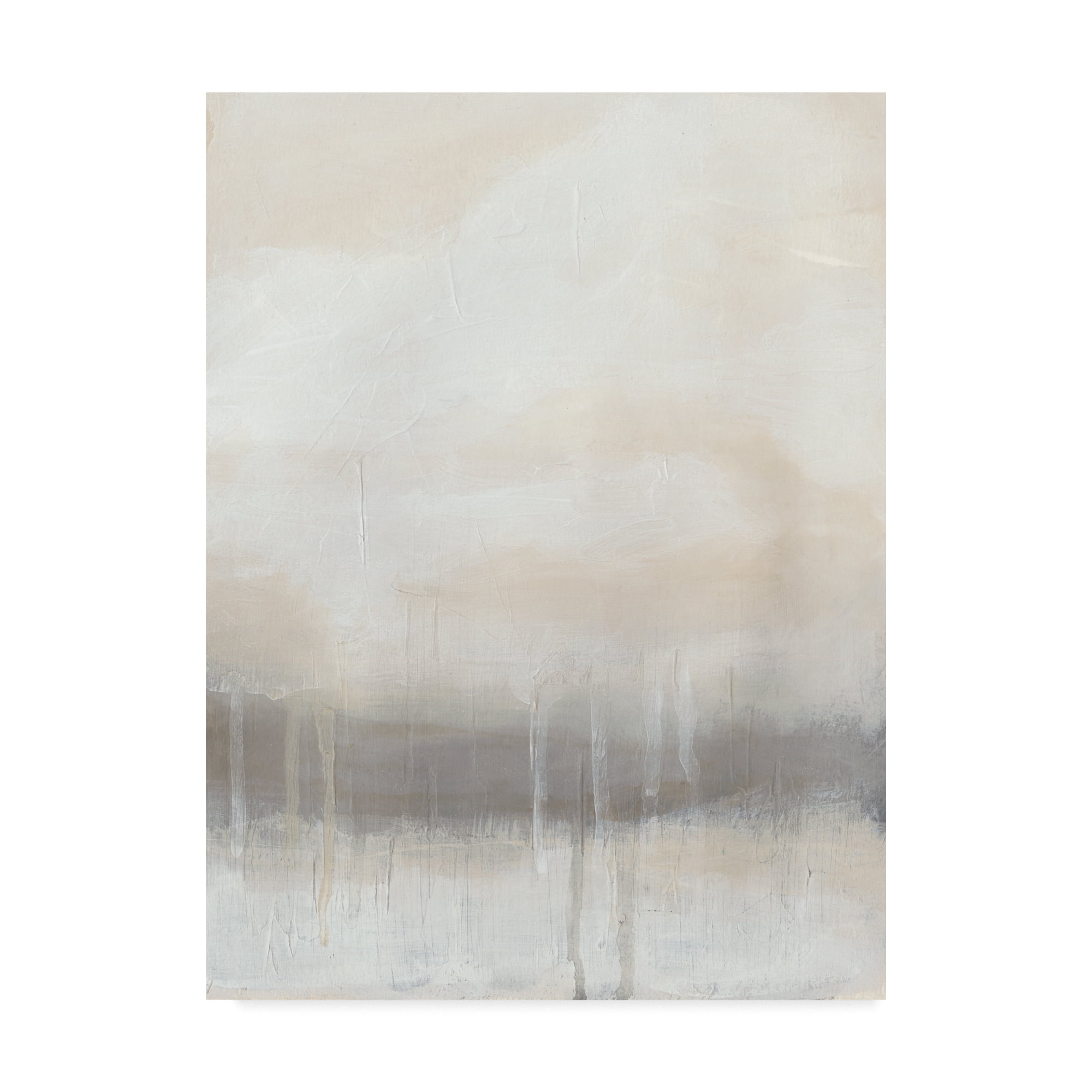 Trademark Fine Art 'Horizon Strata I' Canvas Art by June Erica Vess
