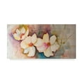 thumbnail image 1 of Trademark Fine Art 'Horizontal Flores VII' Canvas Art by Leticia Herrera, 1 of 4