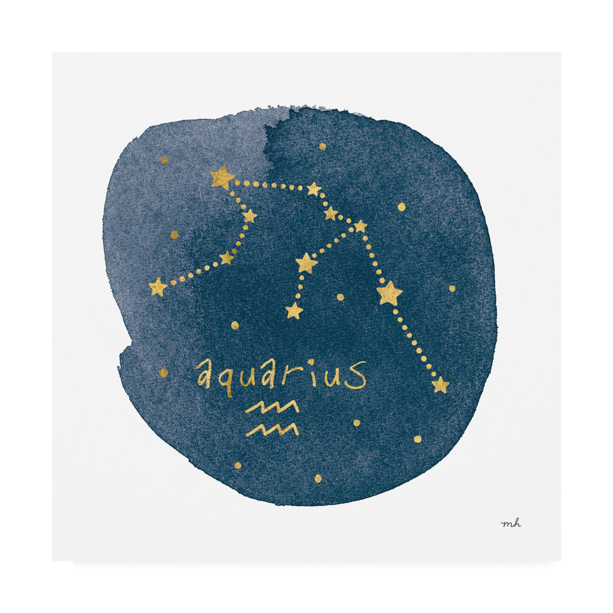 Trademark Fine Art 'Horoscope Aquarius' Canvas Art by Moira Hershey