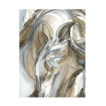 Trademark Fine Art Jennifer Paxton Parker Horse Abstraction I Canvas Wall Art - 14x19