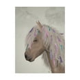 thumbnail image 1 of Trademark Fine Art 'Horse Beige with Ribbons' Canvas Art by Fab Funky, 1 of 3