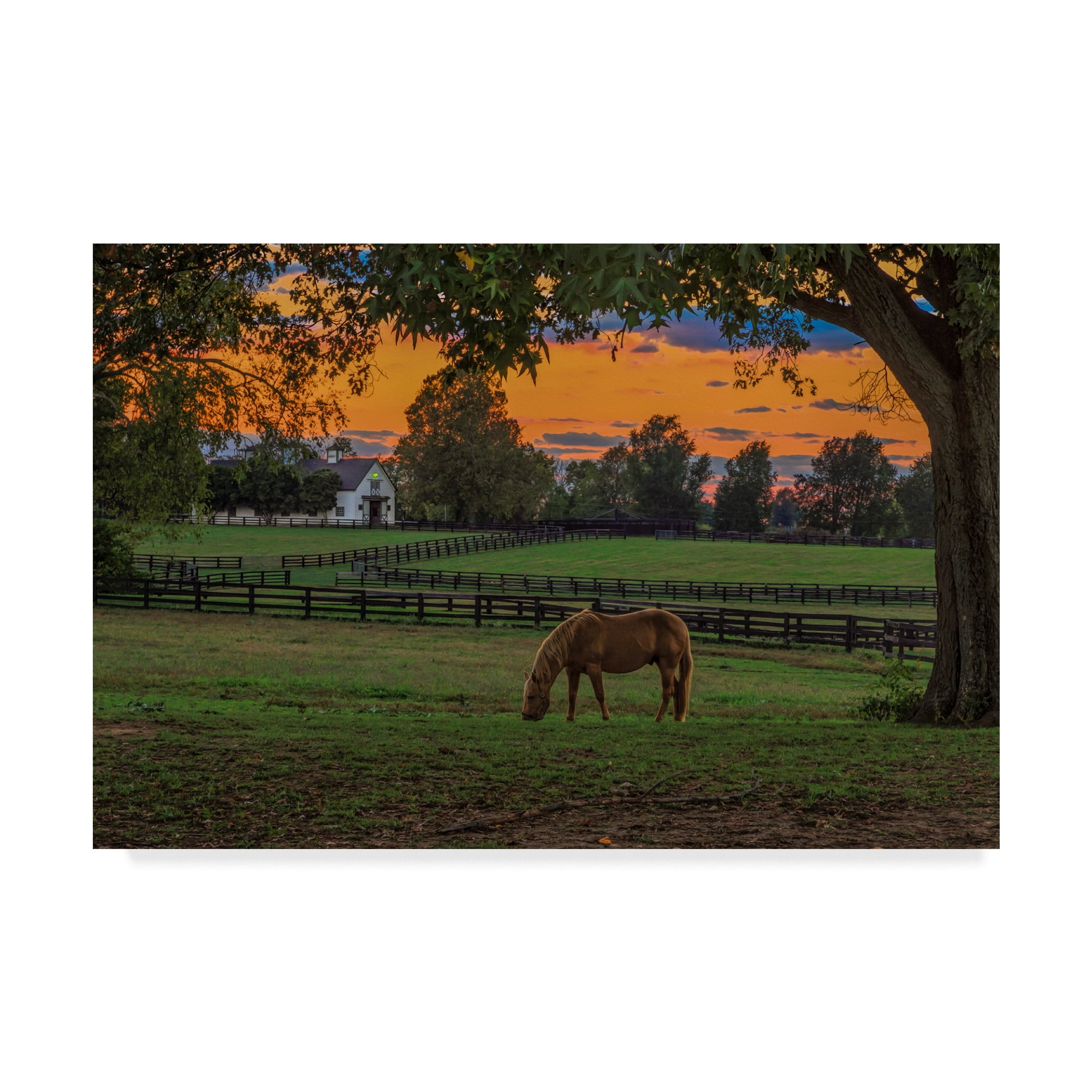 Rustic Sunset Horse Photography Canvas Art, 12 x 19