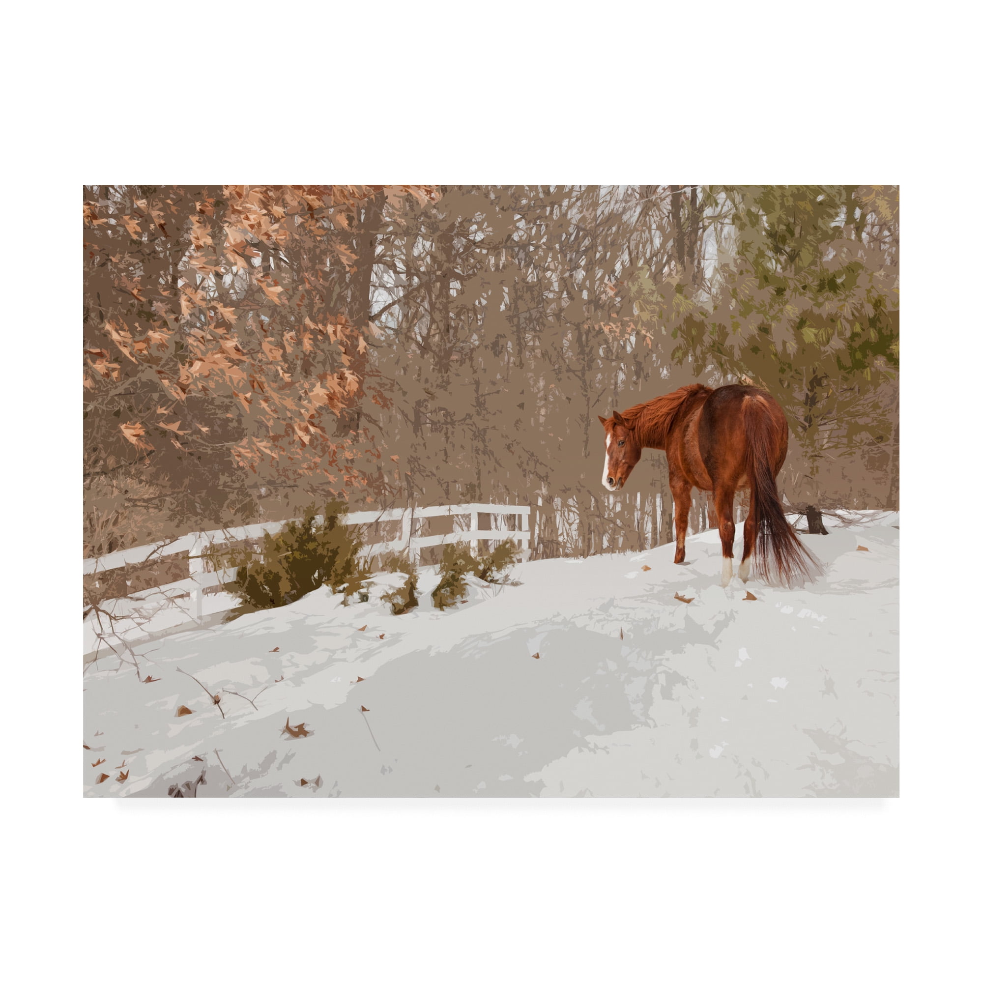 Brown Horse in Snowy Landscape Canvas Print