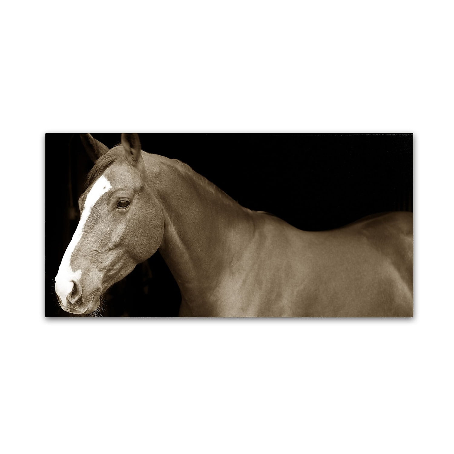 Large Brown Horse Portrait Canvas Art