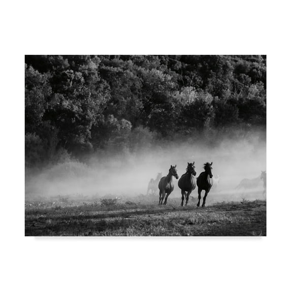 Trademark Fine Art 'Horse country' Canvas Art by Aledanda