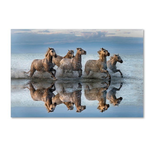 Trademark Fine Art 'Horses And Reflection' Canvas Art by Xavier Ortega