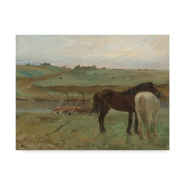 Trademark Fine Art 'Horses In A Meadow' Canvas Art by Edgar Degas