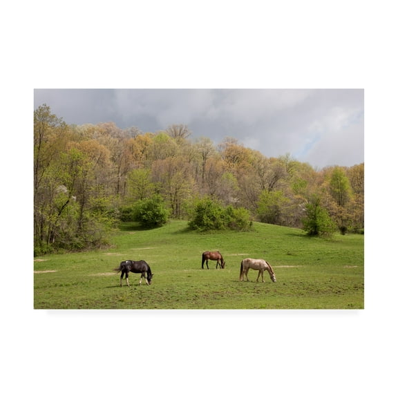 Trademark Fine Art 'Horses In The Field West Virginia Color' Canvas Art by Monte Nagler