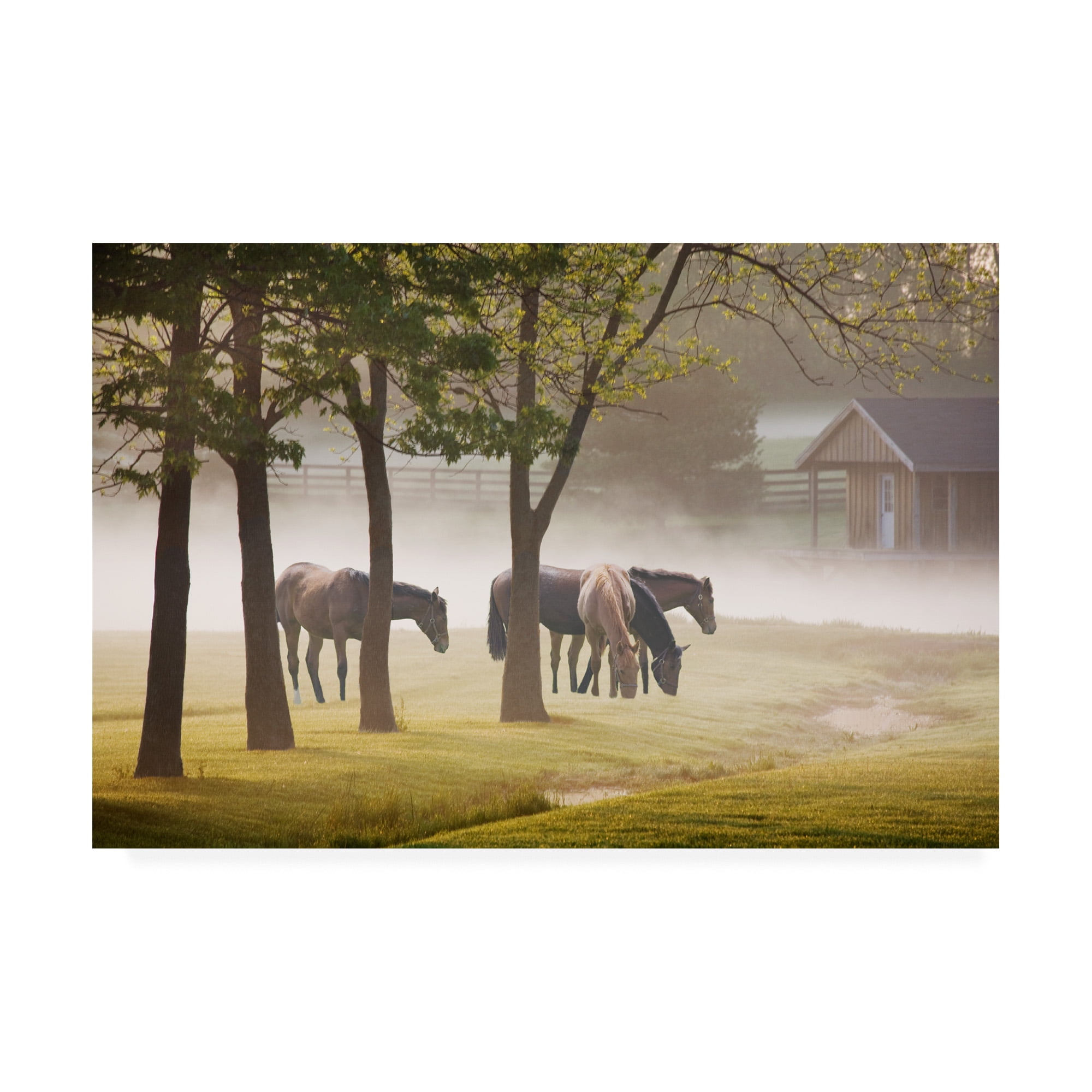 Trademark Fine Art 'Horses In The Mist Kentucky Color' Canvas Art by Monte Nagler
