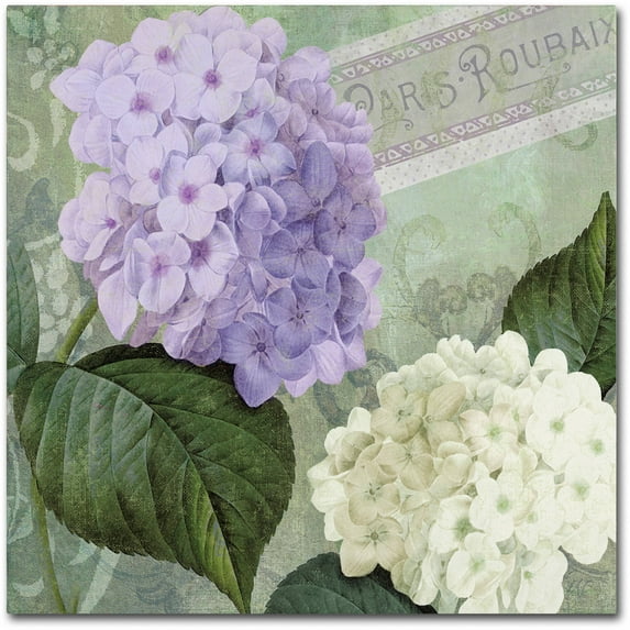 Trademark Fine Art "Hortensia 1" Canvas Art by Color Bakery