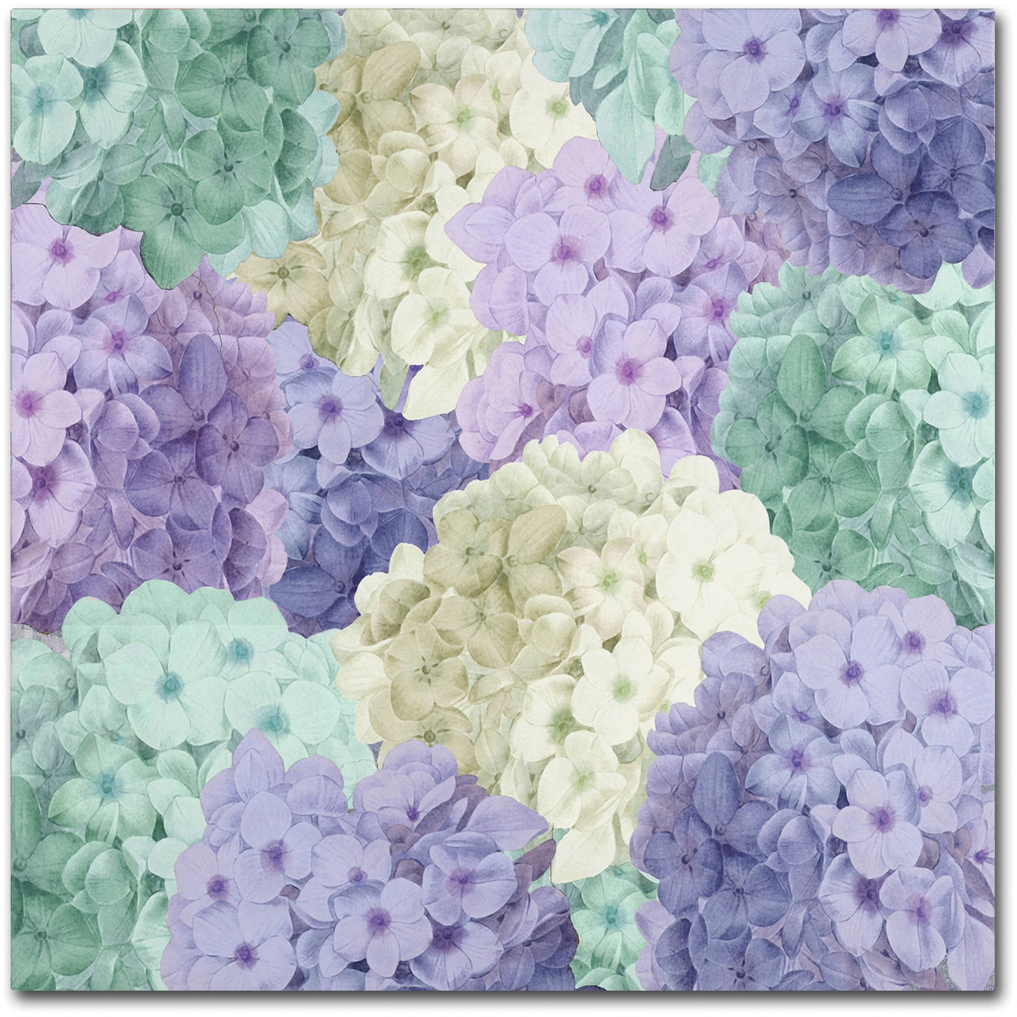 Color Bakery 'Hortensia Groundless Cool Tones' Huge Canvas Art 35 x 35