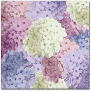 Trademark Fine Art "Hortensia Groundless Warm Tones" Canvas Art by Color Bakery