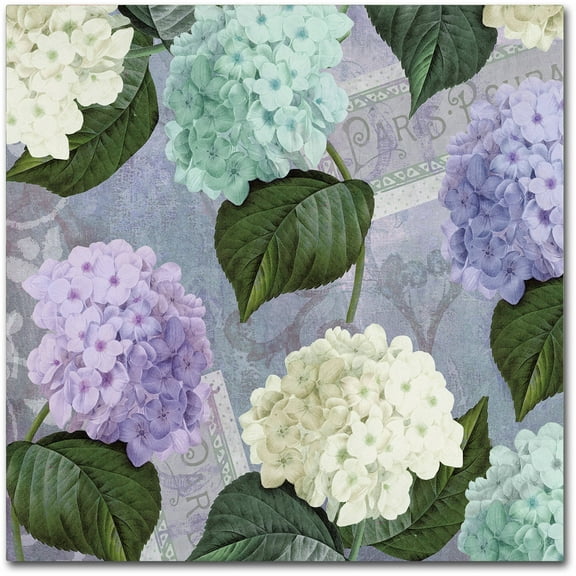 Trademark Fine Art "Hortensia Lavenders" Canvas Art by Color Bakery