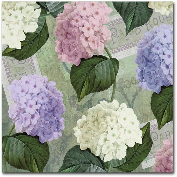 Trademark Fine Art "Hortensia Soft Green" Canvas Art by Color Bakery