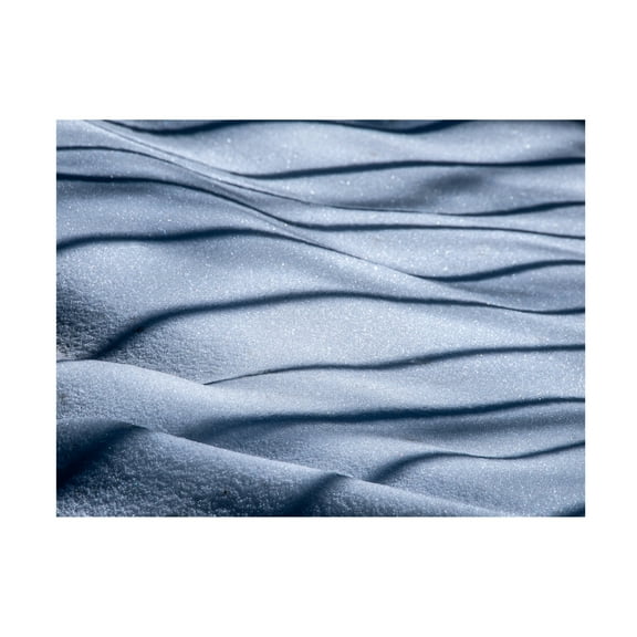 Trademark Fine Art Hossein Nikzad Amoli Midnight Canvas Wall Art