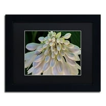 Trademark Fine Art "Hosta Flower Abstract" Canvas Art by Kurt Shaffer Black Matte, Black Frame