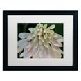 thumbnail image 1 of Trademark Fine Art "Hosta Flower Abstract" Canvas Art by Kurt Shaffer White Matte, Black Frame, 1 of 4