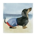 thumbnail image 1 of Trademark Fine Art 'Hot Dog IV' Canvas Art by Grace Popp, 1 of 4