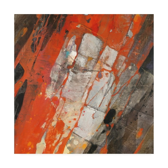 Trademark Fine Art 'Hot Lava' Canvas Art by Albena Hristova