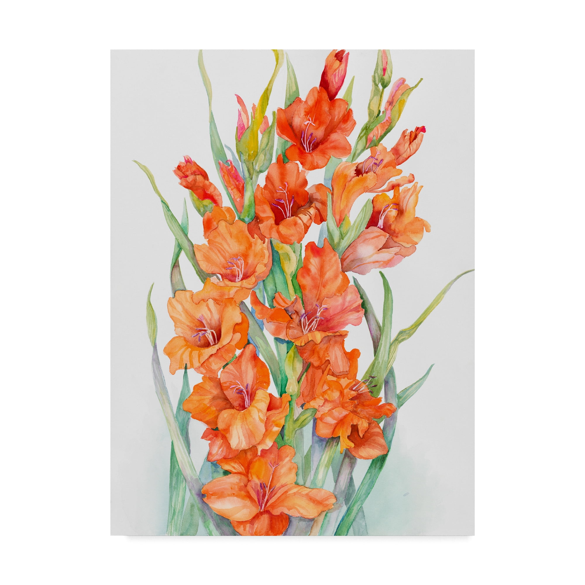 Trademark Fine Art 'Hot Orange Gladiolus' Canvas Art by Joanne Porter