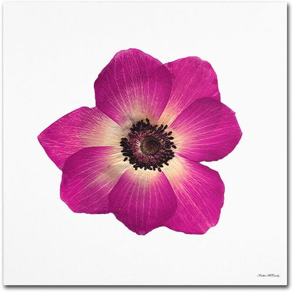 Large Hot Pink Floral Canvas Giclee Photographic Print