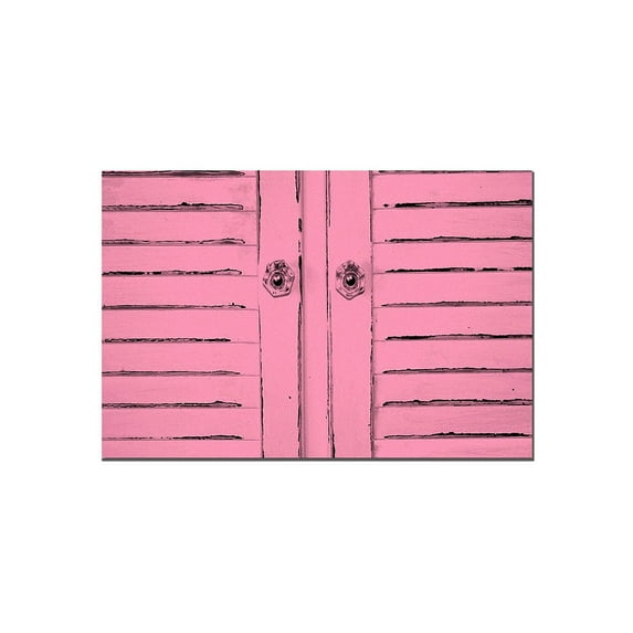 Trademark Fine Art "Hot Pink Shabby Chick" Canvas Art by Patty Tuggle