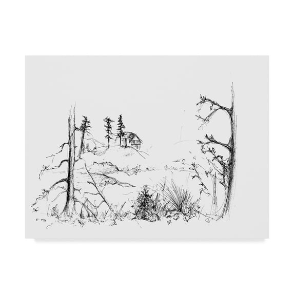 Trademark Fine Art 'House Sketch' Canvas Art by Nicky Kumar