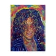 thumbnail image 1 of Trademark Fine Art 'Howard Stern' Canvas Art by Howie Green, 1 of 3