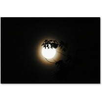 Trademark Fine Art "Howl" Canvas Art by Monica Mize