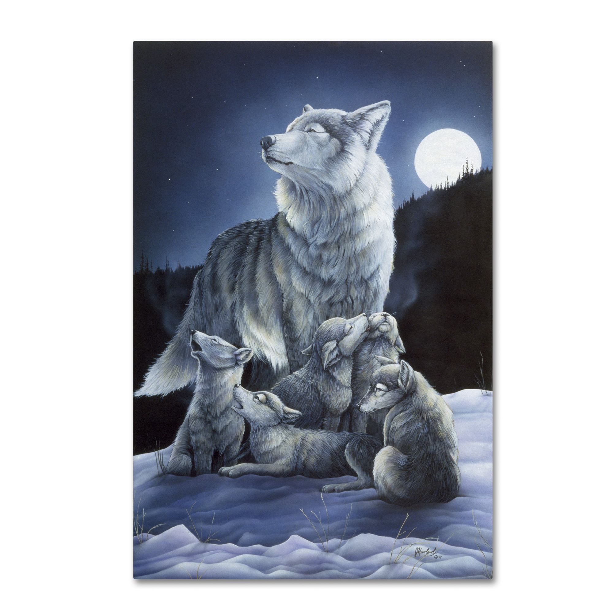 Mother Wolf and Pups Under Full Moon Canvas Art
